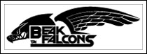 beak_falcons